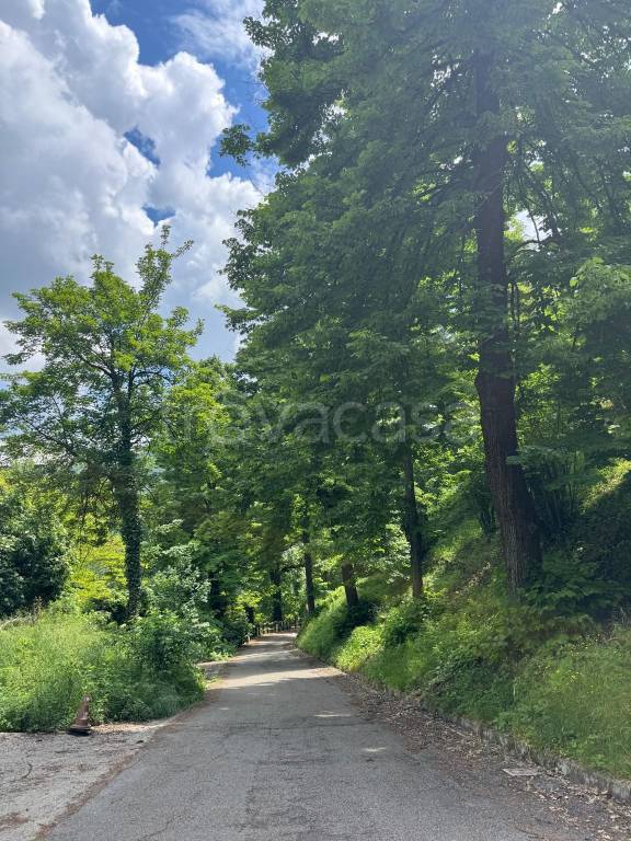 terreno agricolo in vendita a Monterenzio in zona Pizzano