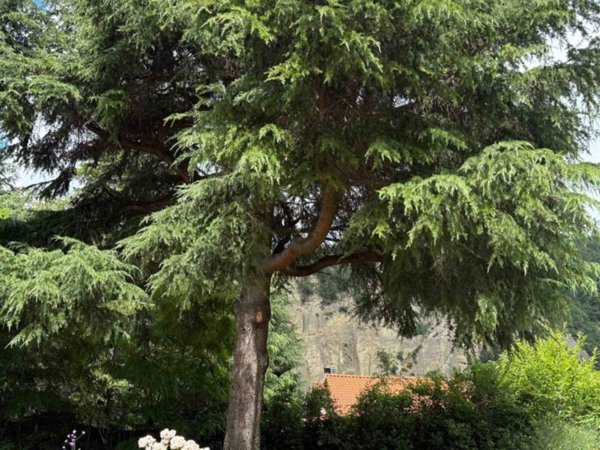 appartamento in vendita a Monterenzio in zona Pizzano