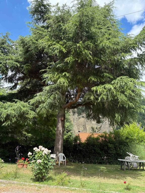 appartamento in vendita a Monterenzio in zona Pizzano
