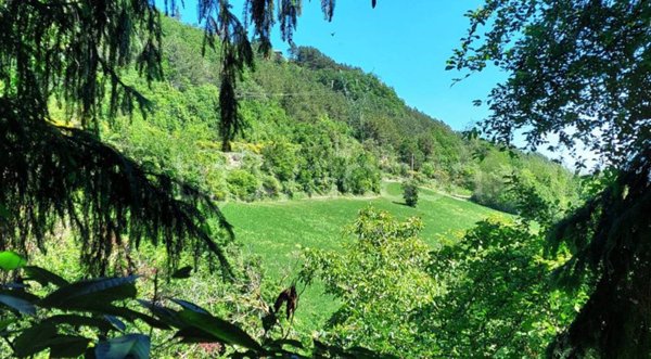 casa indipendente in vendita a Monterenzio in zona Castelnuovo