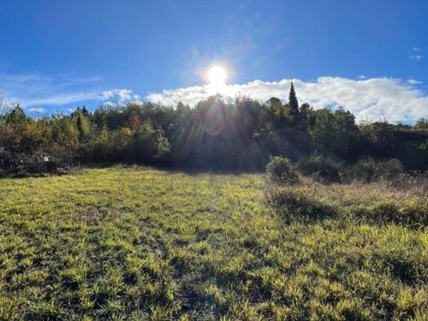 terreno agricolo in vendita a Monte San Pietro