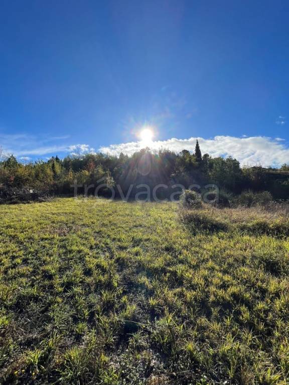 terreno agricolo in vendita a Monte San Pietro
