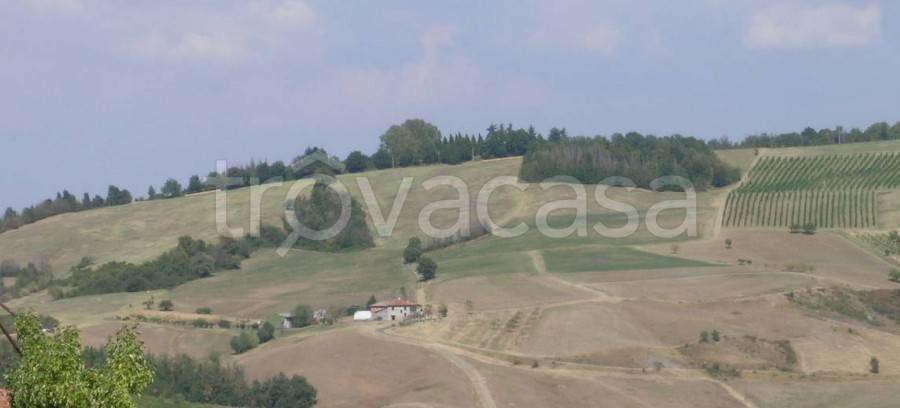 azienda agricola in vendita a Monte San Pietro