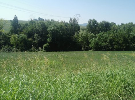 terreno agricolo in vendita a Monte San Pietro