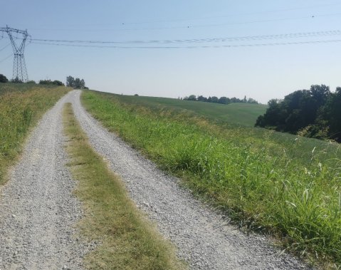 terreno agricolo in vendita a Monte San Pietro