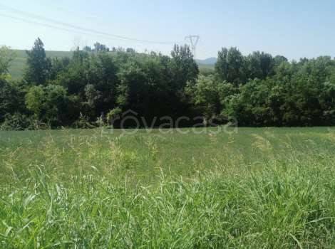 appartamento in vendita a Monte San Pietro