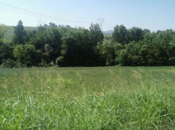 terreno agricolo in vendita a Monte San Pietro