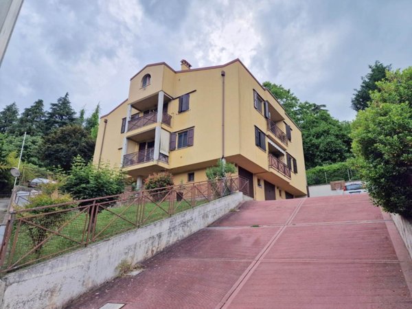 appartamento in vendita a Monte San Pietro