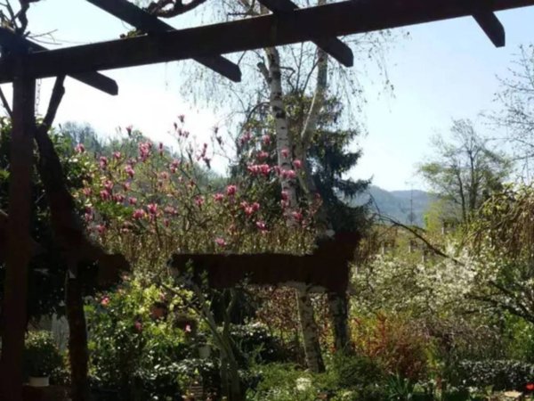 casa indipendente in vendita a Monte San Pietro in zona Monte San Giovanni