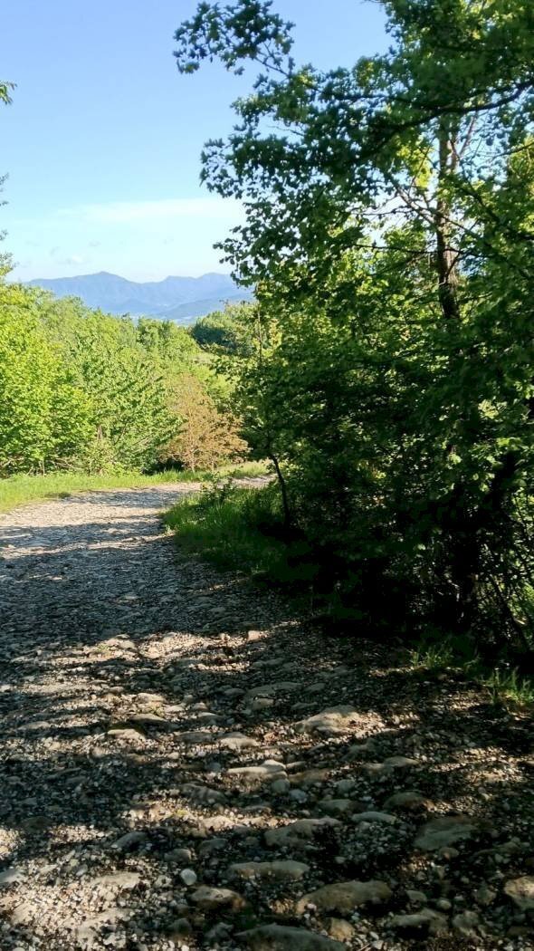 terreno agricolo in vendita a Monte San Pietro