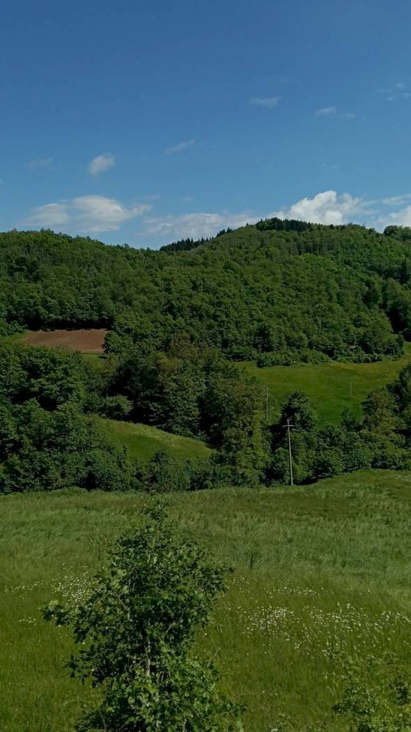 terreno agricolo in vendita a Monte San Pietro