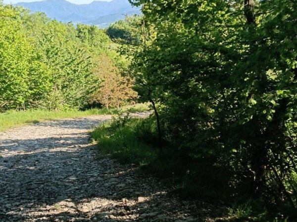 terreno agricolo in vendita a Monte San Pietro