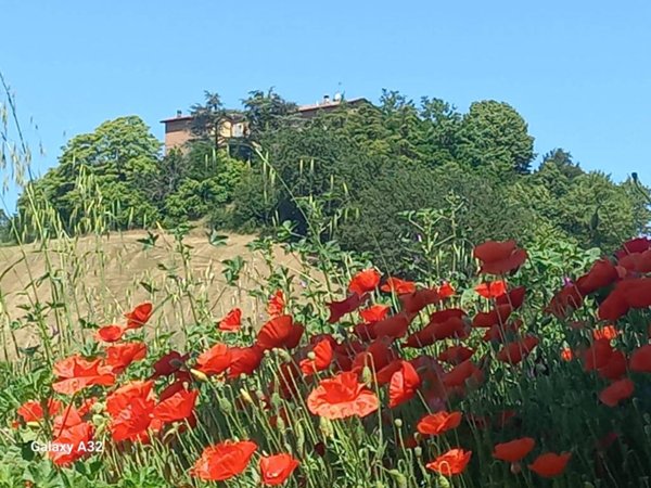 casa indipendente in vendita a Monte San Pietro in zona Loghetto