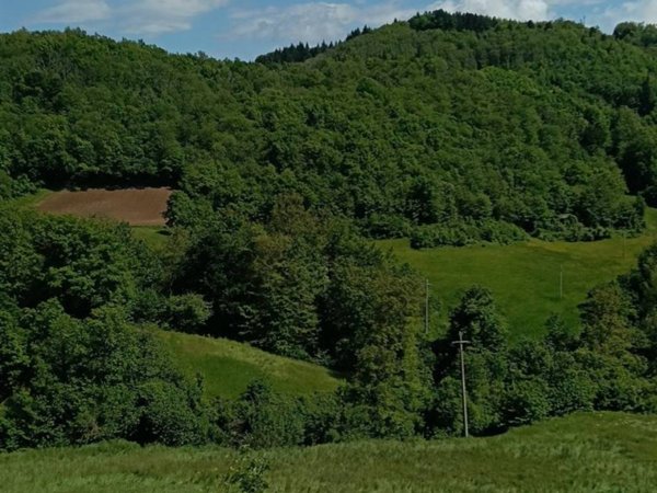 terreno agricolo in vendita a Monte San Pietro