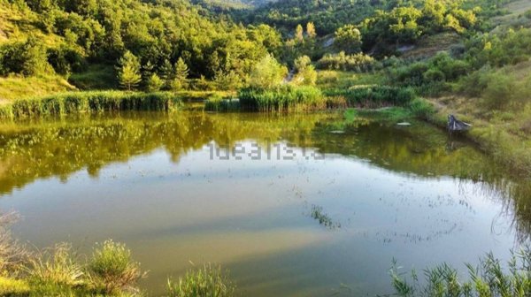 terreno agricolo in vendita a Monte San Pietro