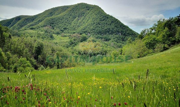 terreno agricolo in vendita a Monzuno in zona Vado