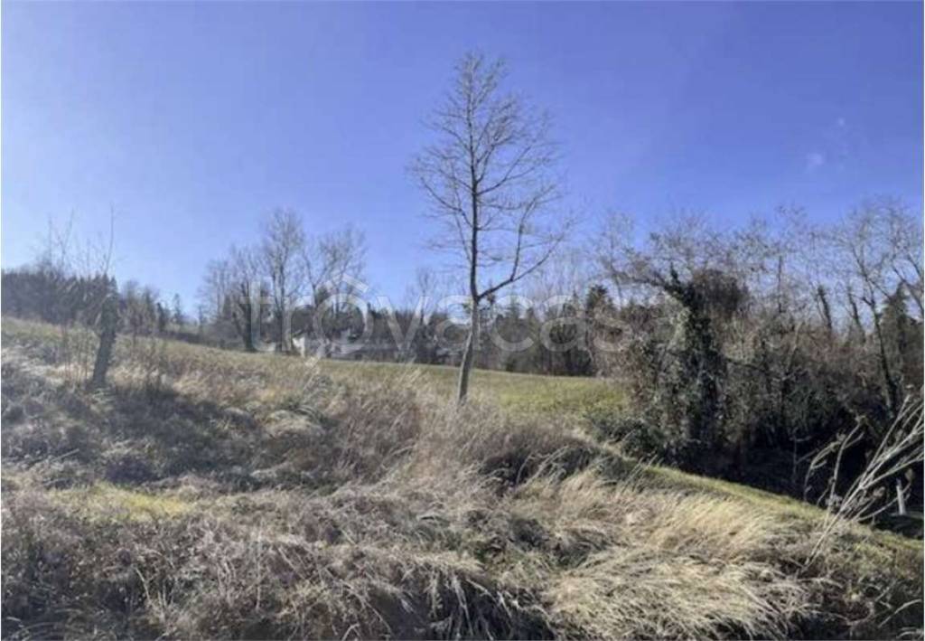 terreno agricolo in vendita a Monzuno