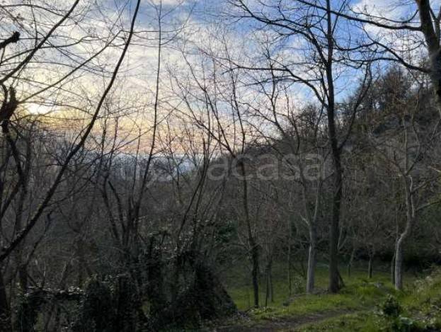 appartamento in vendita a Monzuno