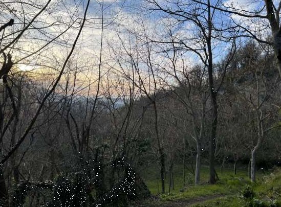 terreno agricolo in vendita a Monzuno