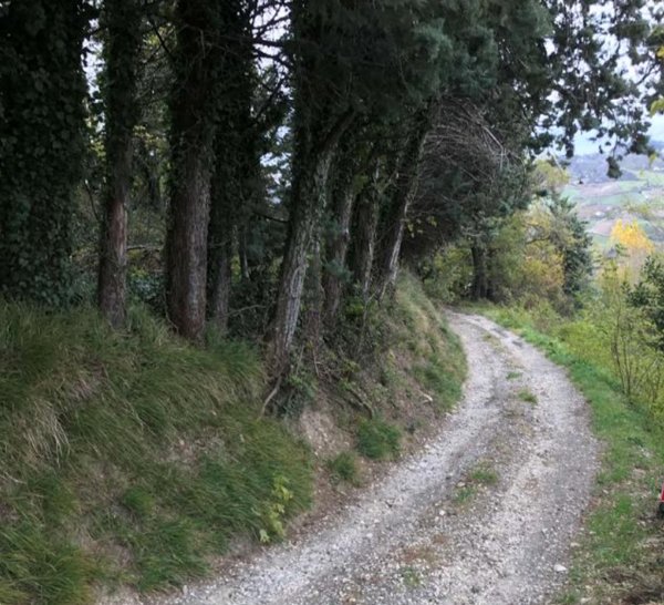 casa indipendente in vendita a Monzuno