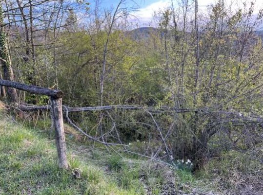 terreno agricolo in vendita a Monzuno
