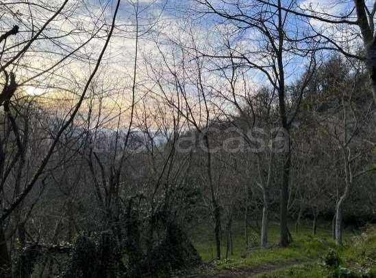 appartamento in vendita a Monzuno