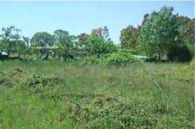 terreno agricolo in vendita a Monzuno