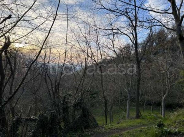terreno agricolo in vendita a Monzuno