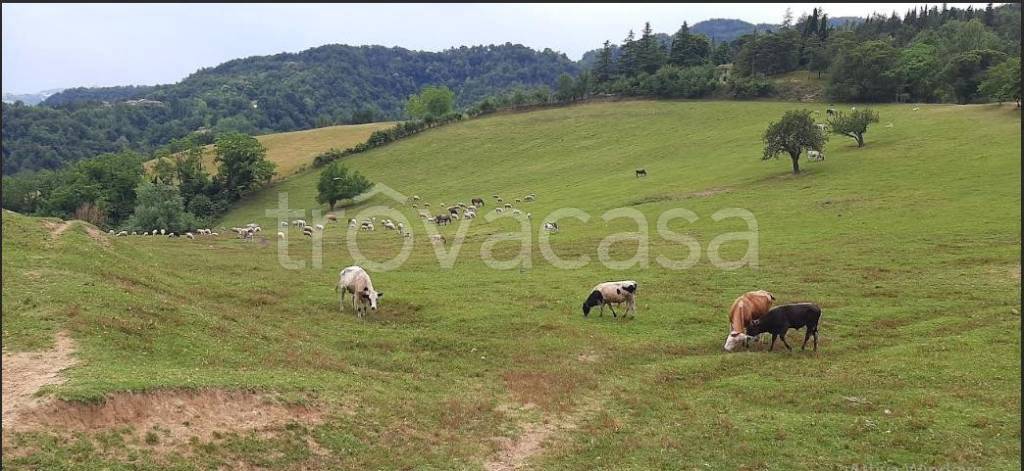 terreno agricolo in vendita a Monzuno