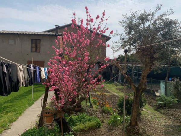 casa indipendente in vendita a Mordano in zona Bubano