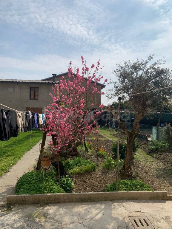 casa indipendente in vendita a Mordano in zona Bubano