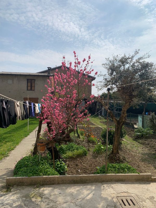 quadrivano in vendita a Mordano