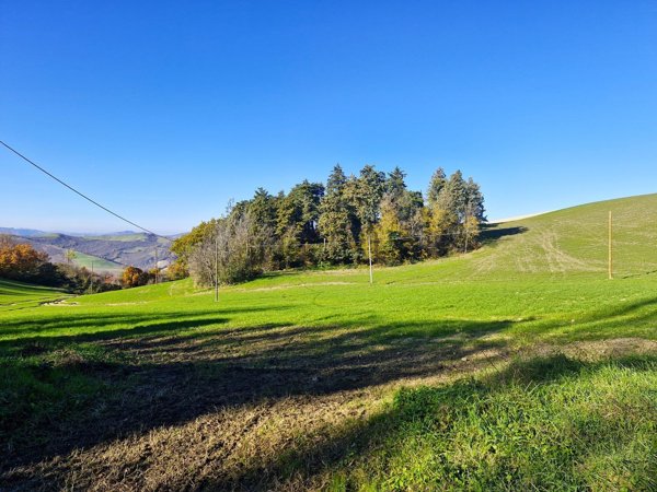 casa indipendente in vendita ad Ozzano dell'Emilia