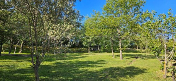 casa indipendente in vendita ad Ozzano dell'Emilia in zona Tolara