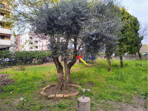 villetta a schiera in vendita ad Ozzano dell'Emilia