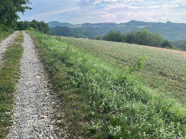 terreno agricolo in vendita a Pianoro in zona Montelungo