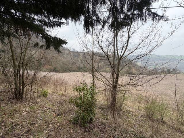 terreno agricolo in vendita a Pianoro in zona Livergnano
