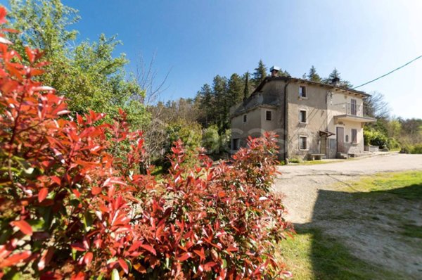 immagine annuncio 0 di 15