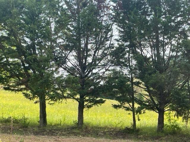 terreno agricolo in vendita a Pianoro in zona Zena