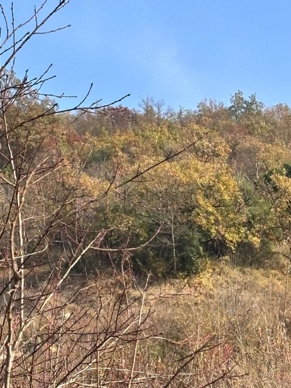 terreno agricolo in vendita a Pianoro in zona Zena