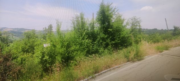 terreno agricolo in vendita a Pianoro