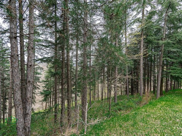 negozio in vendita a Pianoro