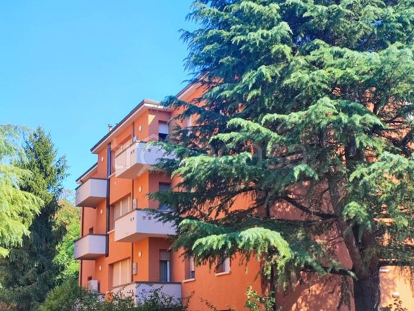 immagine annuncio 0 di 7