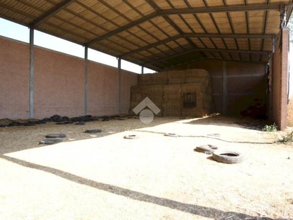 immagine annuncio 0 di 7