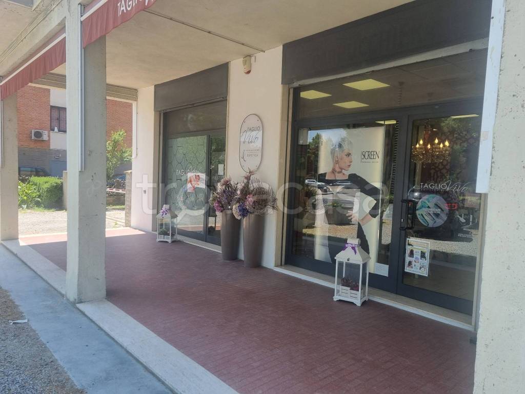negozio in vendita a Sala Bolognese