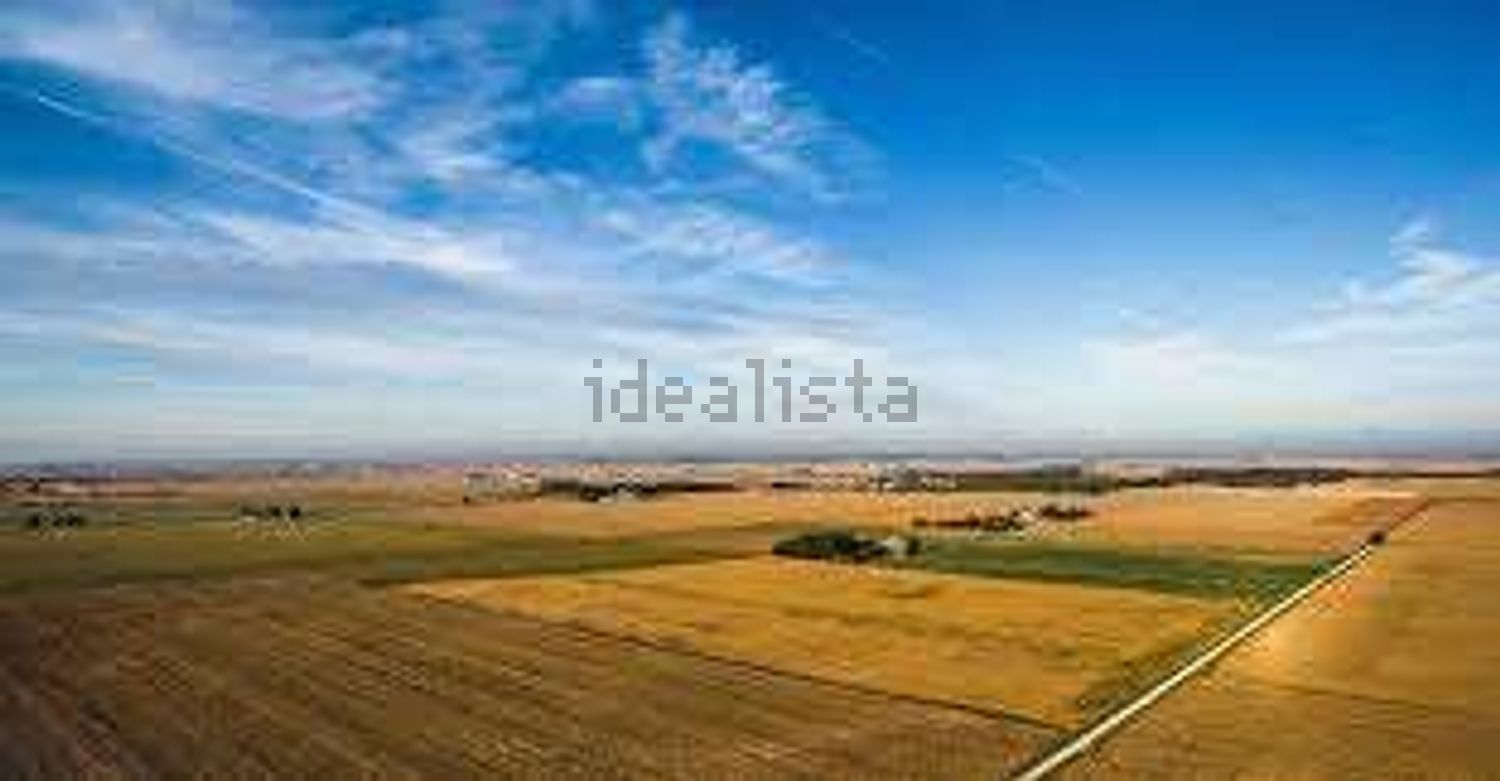 terreno agricolo in vendita a Sala Bolognese