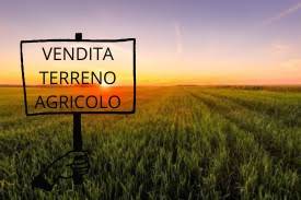 terreno agricolo in vendita a Sala Bolognese