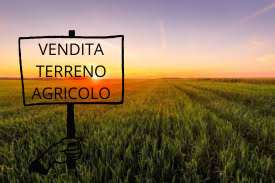 terreno agricolo in vendita a Sala Bolognese