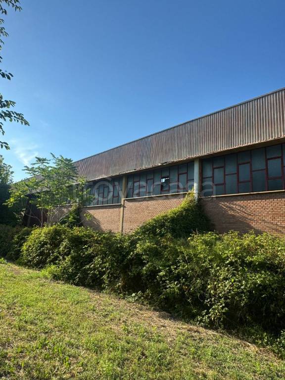 terreno agricolo in vendita a Sala Bolognese
