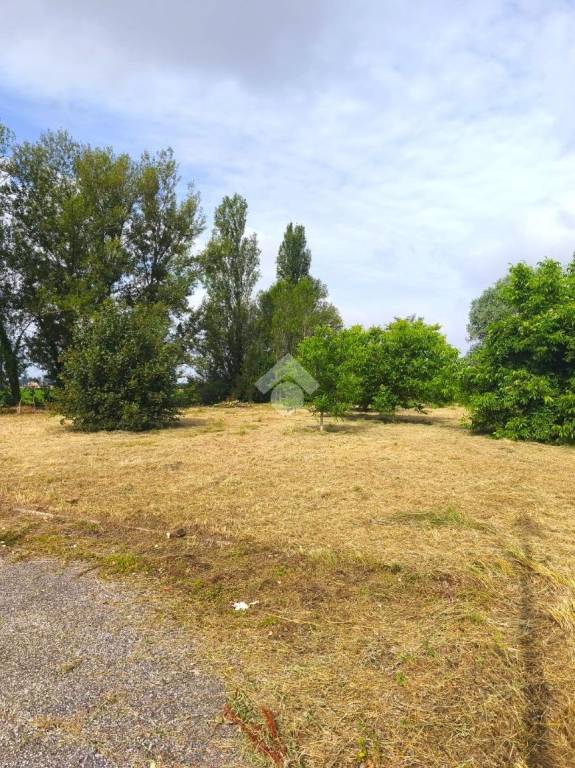 terreno agricolo in vendita a Sala Bolognese